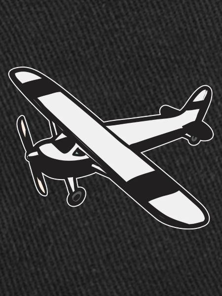 Modèle d’avion télécommandé