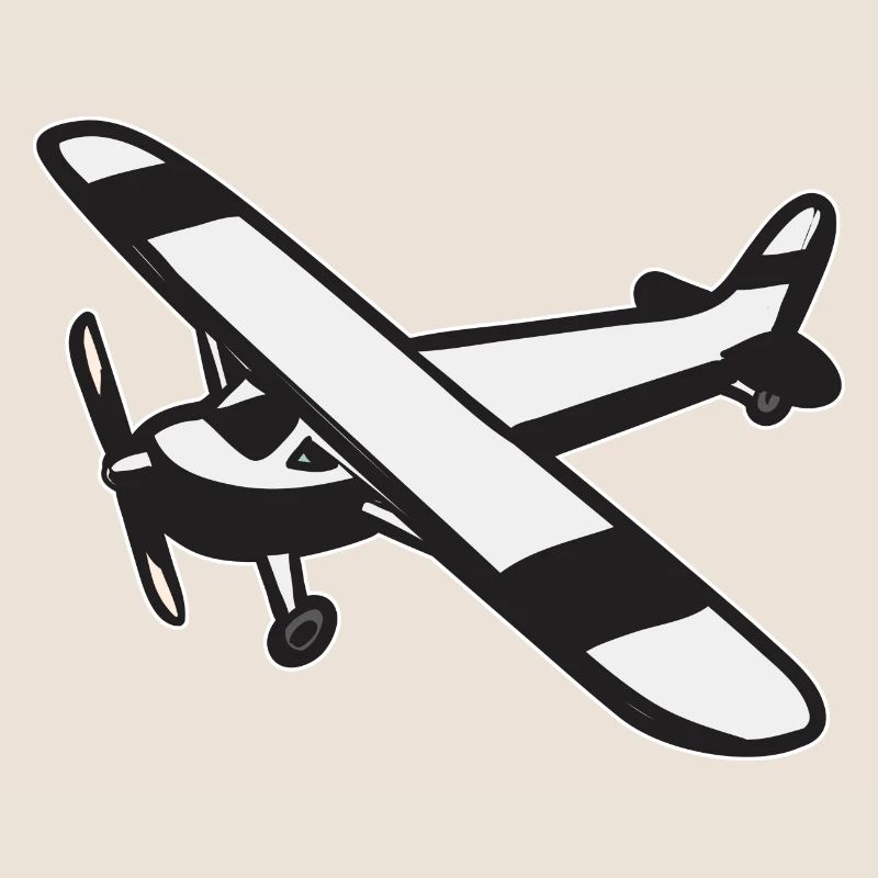 Remote Controlled Airplane Model Airplane