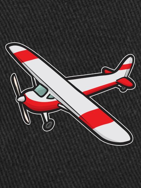 Modèle d’avion télécommandé