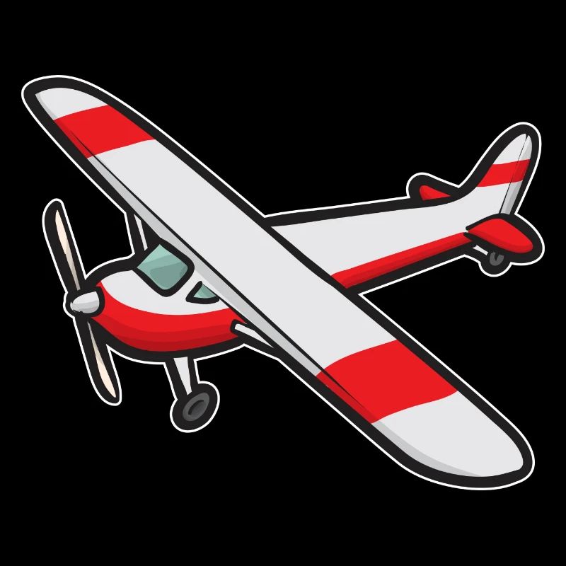 Remote Controlled Airplane Model Airplane