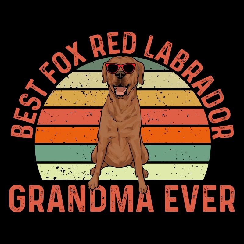 Foxred Labrador Fox Red Labrador Retriever