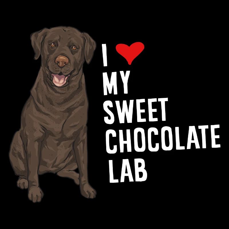 Chien Labrador Retriever chocolat