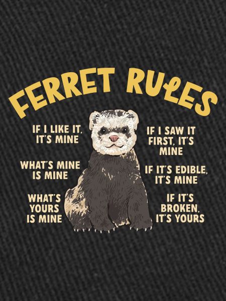 Furet, propriétaire de furet