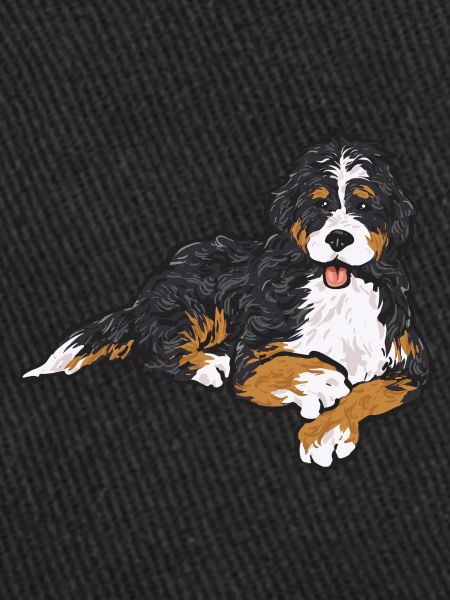 Bernedoodle Dog