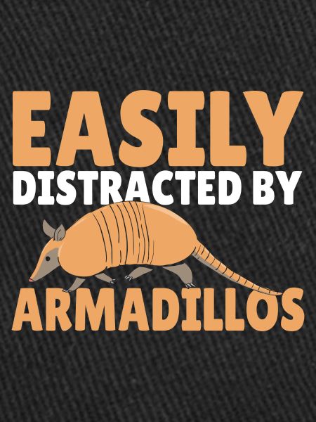 Armadillo Pet Armadillo Gift