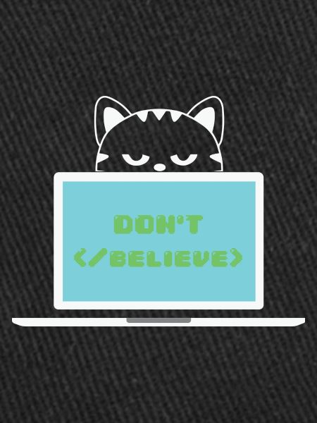 Don't believe programmer cat