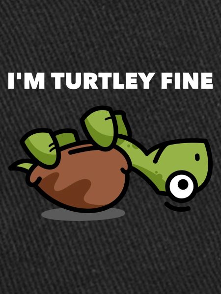 Turtle Turtle Pun Gift