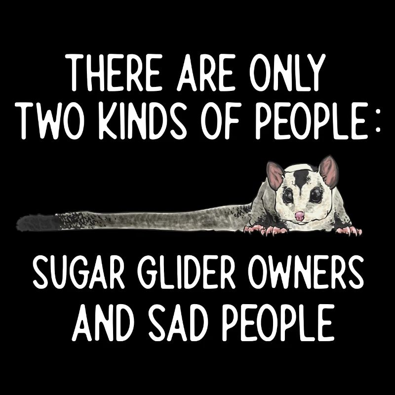 Kurzkopfgleitbeutler Sugar Glider