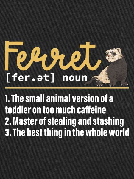 Furet, propriétaire de furet