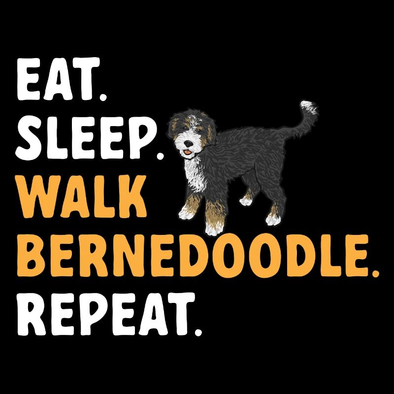Bernedoodle Hund