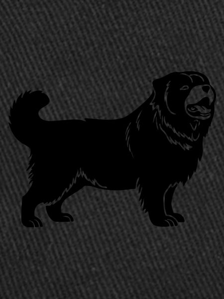 Chow Chow Chien