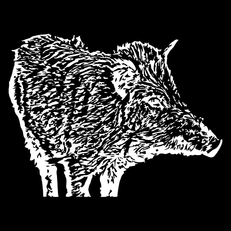 Wild boar Wild boar Pig Sow Pigs