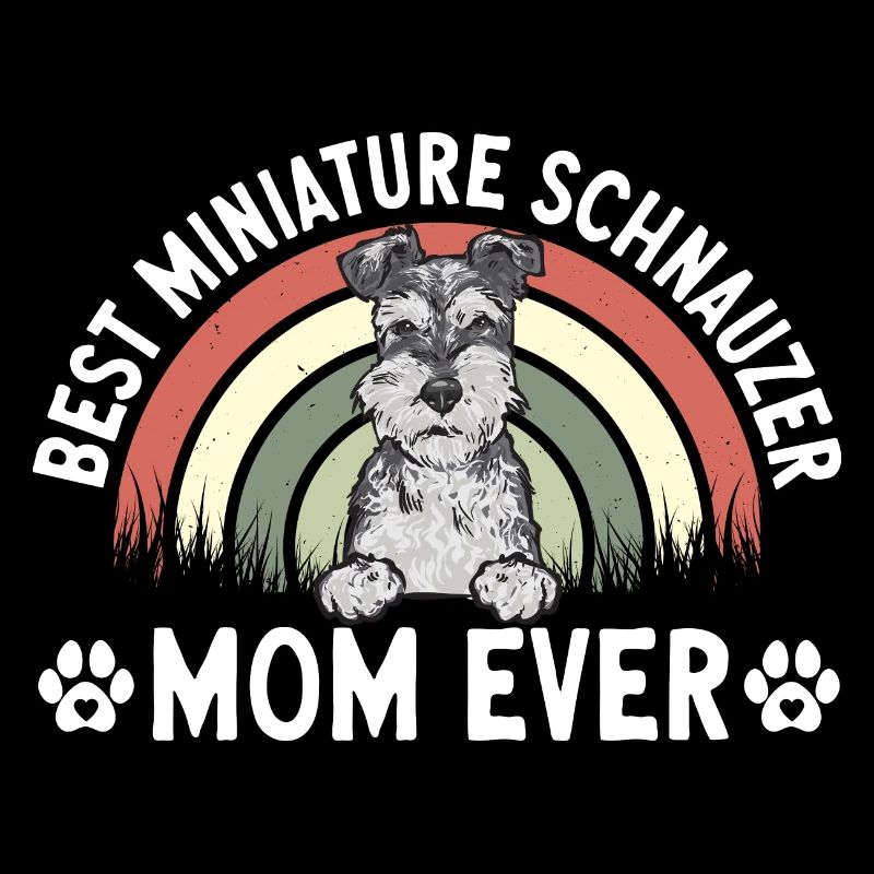 Zwergschnauzer Hund Schnauzer