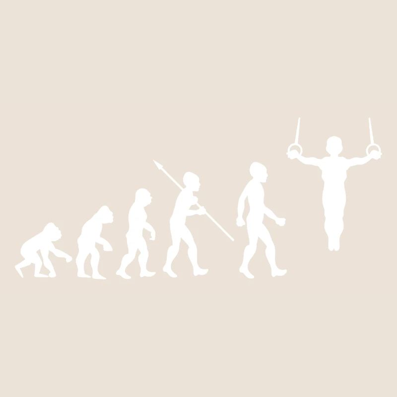 Evolution Gymnastics Gymnastics Acrobatics Gymnastics