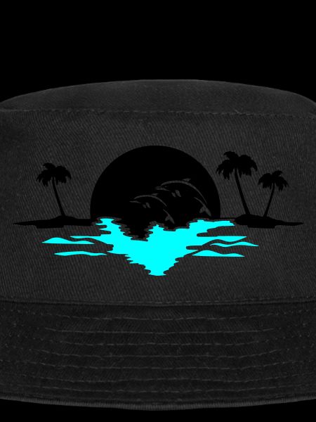 sunset dolphins