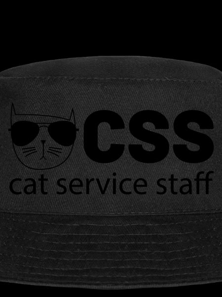css cat service staff