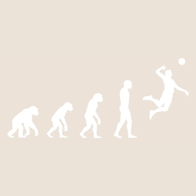 Evolution volleyball 
