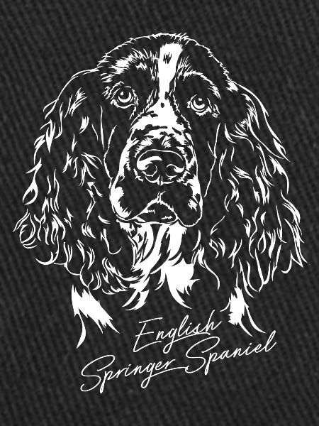 ANGLAIS springer spaniel