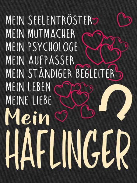 HAFLINGER - mein