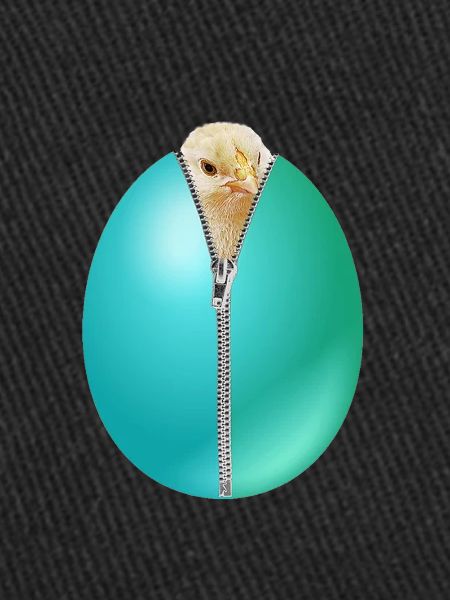 Chick Zip Easter Egg cadeau