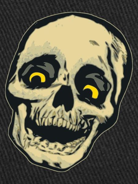 Skull cartoon gift