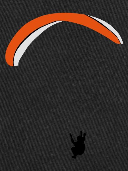 Paraglider