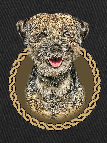Border Terrier 001