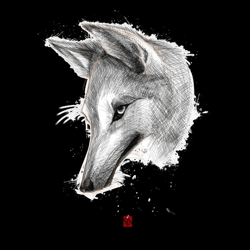 Sketchy Wolf