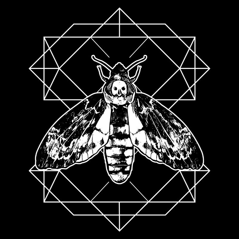 Géométrie d'insecte papillon papillon