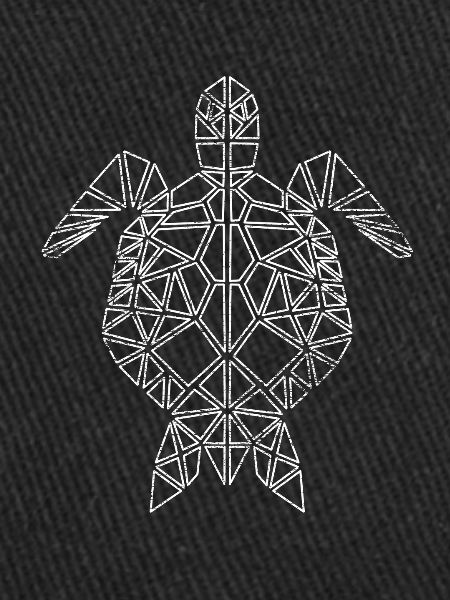 Turtle polygon geometric