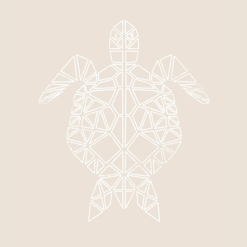 Turtle polygon geometric
