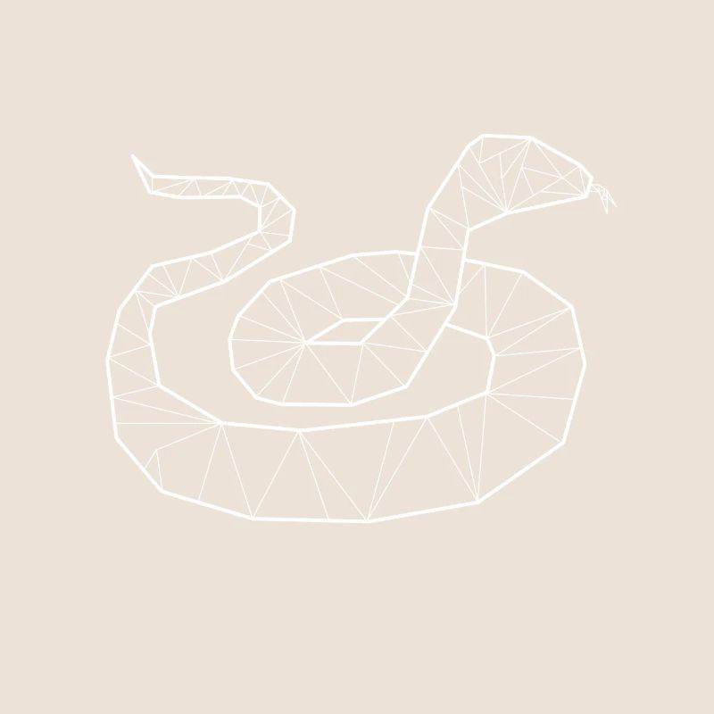 Python géométrique