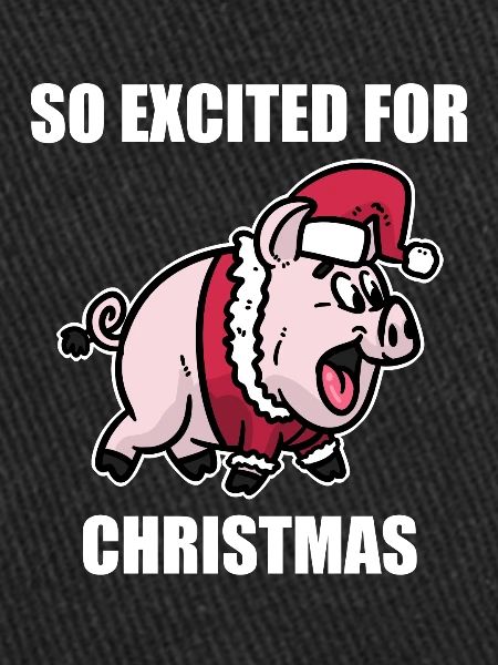 Cochon noël