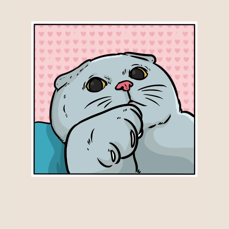 Foldex cat
