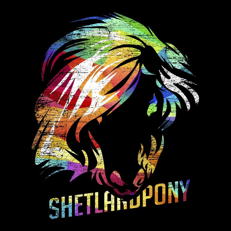 poney Shetland