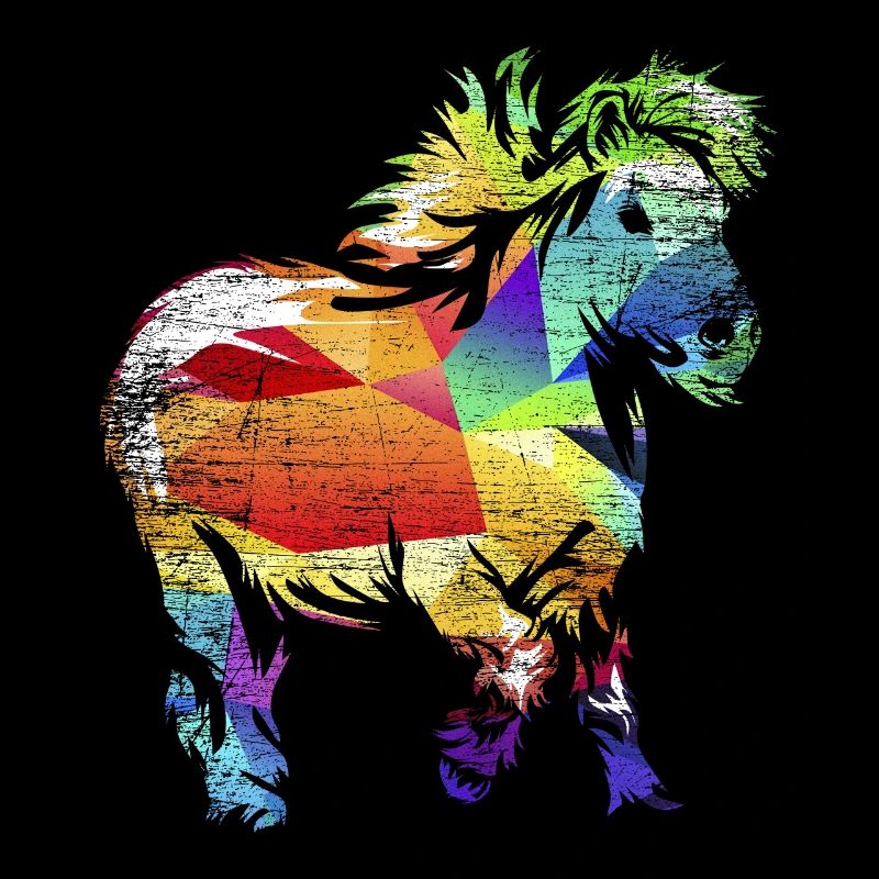 Cadeau de poney Shetland