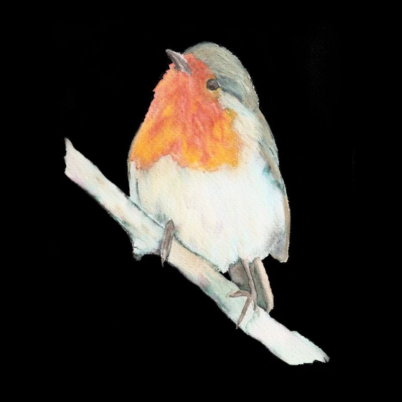 Rotkehlchen