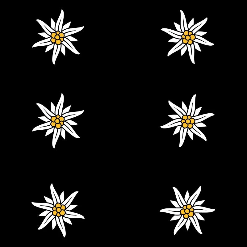 Tablier Dirndl Edelweiss