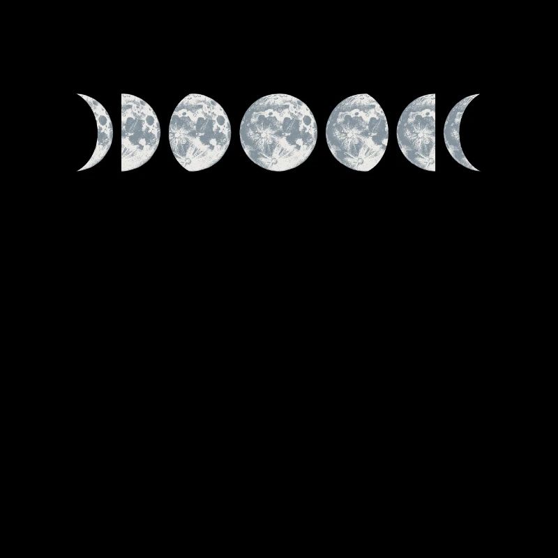 Phases de la lune / cadeau spatial / T-shirts / phases des phases de la lune