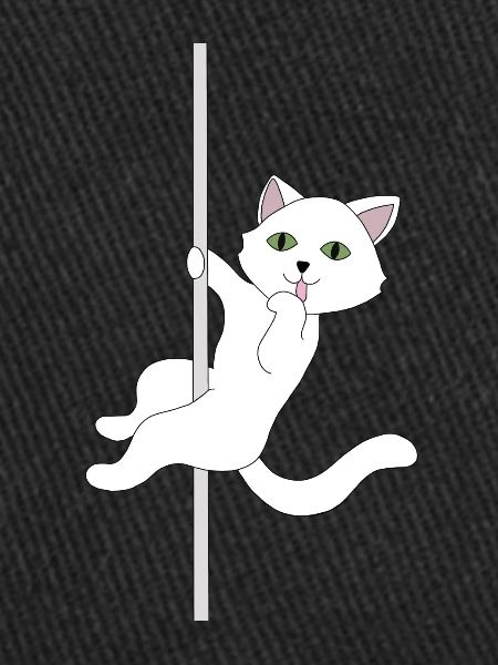 Cat pole dance