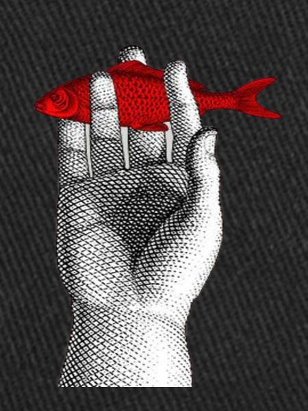fish out of water
