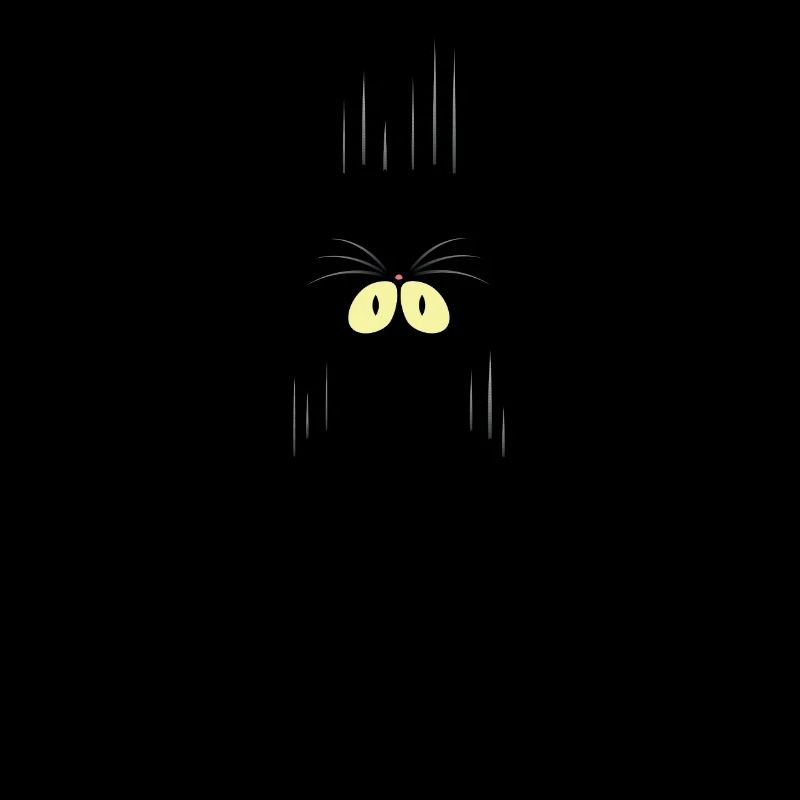 Chat chats rayures noël