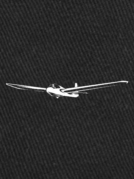 Glider glider pilot