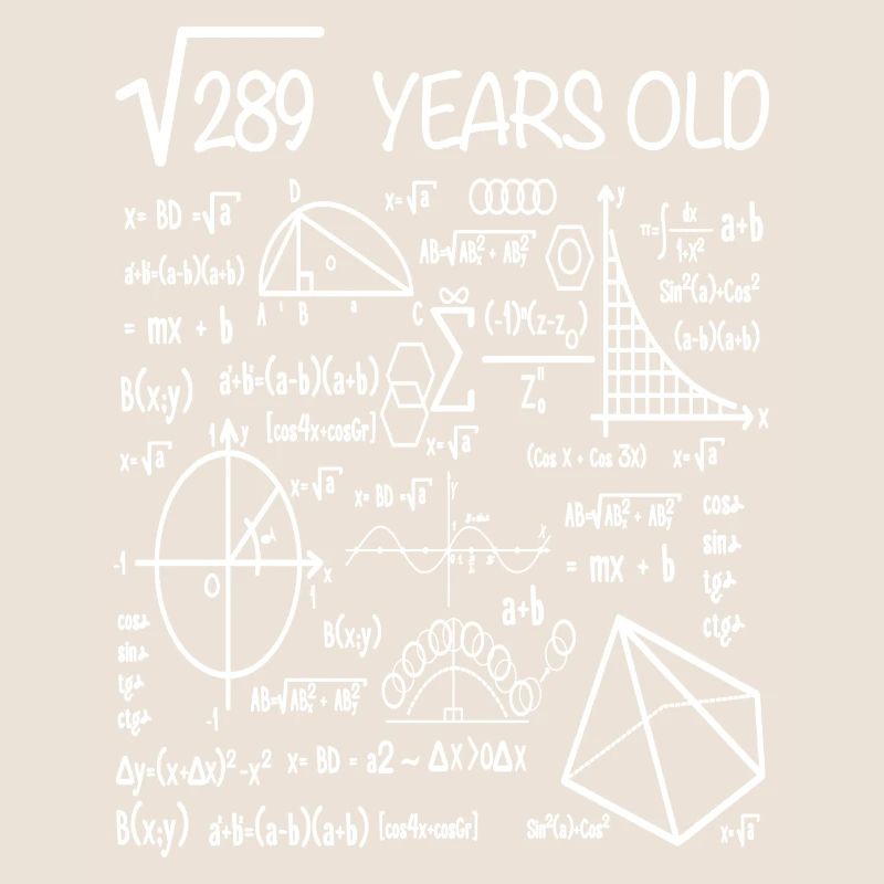 17th birthday math square root