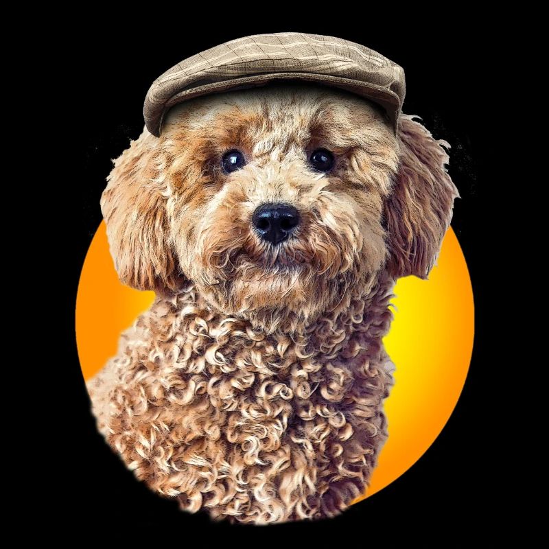 Pepe caniche avec bonnet