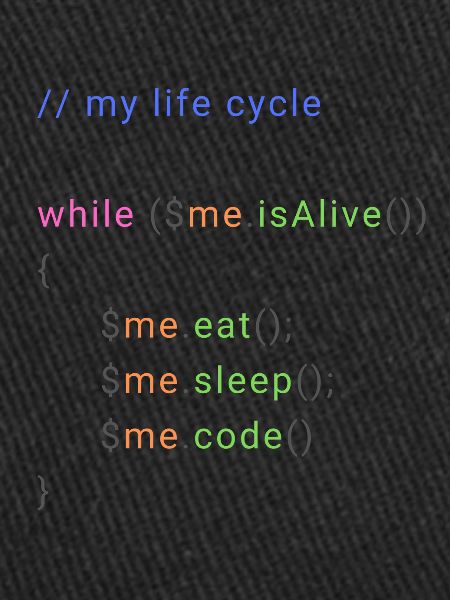my life cycle dev