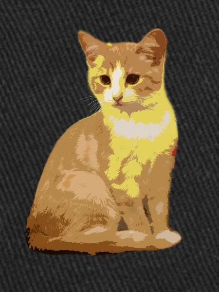 Chat Chat