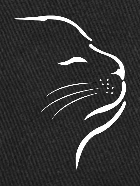 Chats Chats