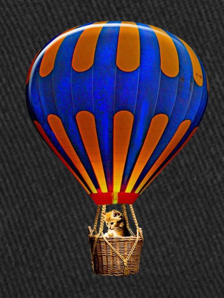 Montgolfière 3