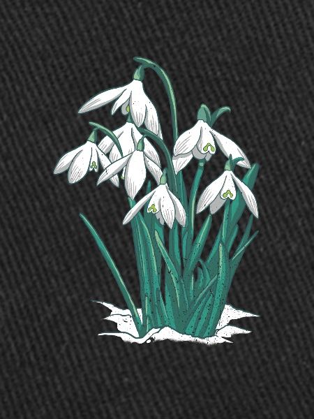 Perce-neige
